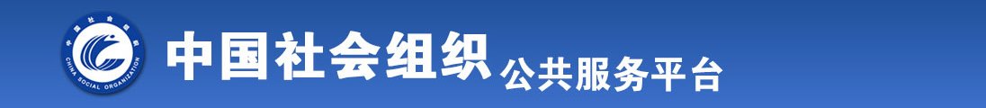 啊啊啊啊操逼全国社会组织信息查询